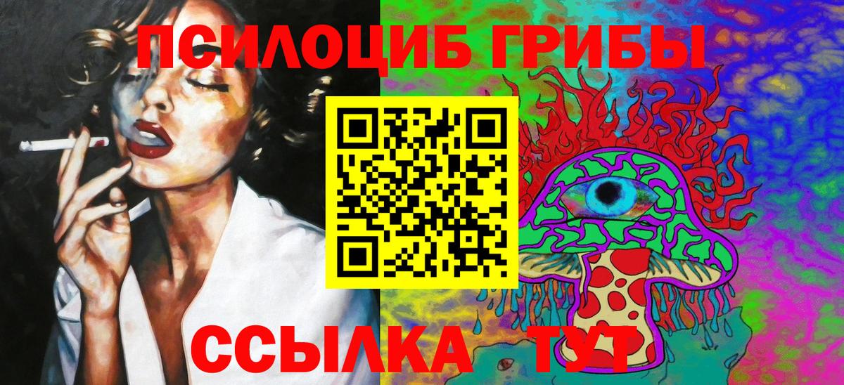 сколько стоит  Вход с VPN  Североморск  Псилоцибиновые грибы Magic Shrooms  Псилоцибиновые грибы мухоморы 